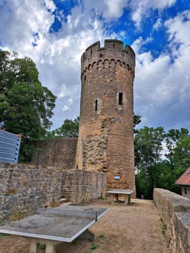 Ladenburg-02 003